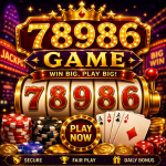 78986 Game (1)